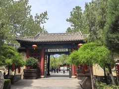 -大槐树寻根祭祖园