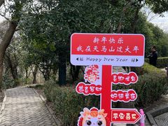 -上海佘山国家森林公园天马山园