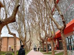 -西安电影制片厂