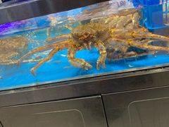 水产区-盒马鲜生(联投广场店)