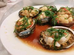 清蒸鲍鱼-四海之家(蛇口店)
