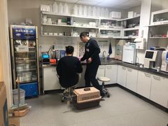 -喜多萌中农锦绣动物医院24H·猫科·牙科MRI·CT