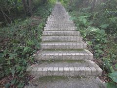 -广州市帽峰山景区
