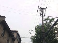 -桂萍特色牛筋牛杂(长堤街总店)