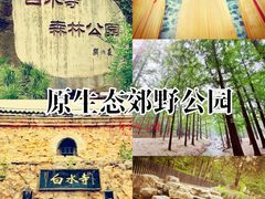 -白水寺森林公园