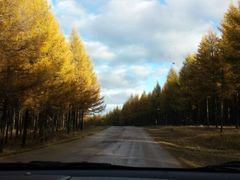 android_upload_pic-塞罕坝国家级自然保护区