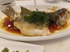 -金华安大酒楼·老牌潮菜·粤式茶点(东方国际店)