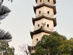 -江心屿景区