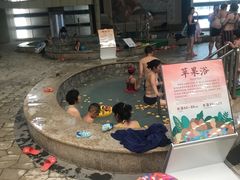 -南宫温泉水世界