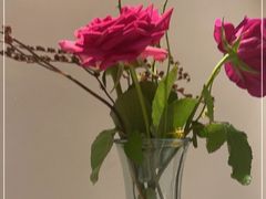 -PARFUM FLORAL花境法餐(南京首店)