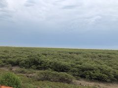 -北海金海湾红树林生态旅游区