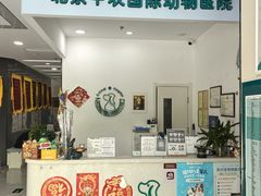 -中农国际动物医院24小时·猫科·骨科·急重症中心