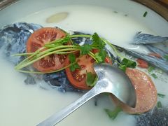 -全乐鱼馆·淳牌有机鱼直营店