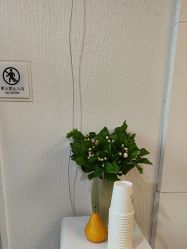 -小梨·OndaPro·专业脱毛连锁机构