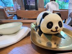 -轩客会(熊猫书店)