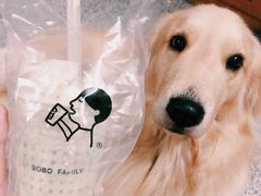 -喜茶(东莞汇一城店)
