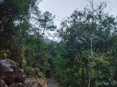 -广州白江湖森林公园