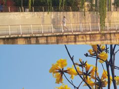 -东坡羽毛球馆(东坡南一路店)