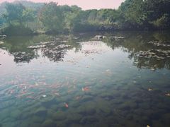 -白马涧龙池景区
