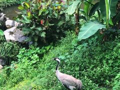 -泉州海丝野生动物世界