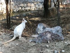 -洛阳马蹄泉旅游度假村