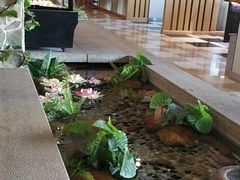 -爱江山温泉(凌奥店)