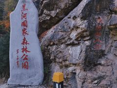 -黑河国家森林公园