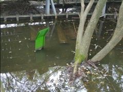 -西湖风景区-江洋畈生态公园