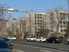 -长兴太湖图影湿地文化园