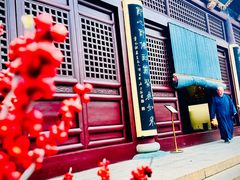 -亭林园-华藏寺