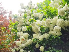 -渤公岛生态公园