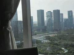 -深圳星河丽思卡尔顿酒店