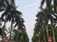 -万绿园