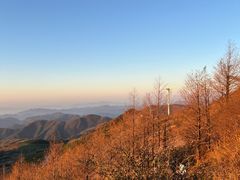 -东白山