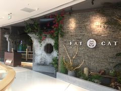 -肥猫(义乌万达店)