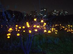 -昆山城市生态森林公园