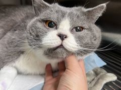 -达爱动物医院·犬猫分区·CT·复杂眼科(远洋山水分院)