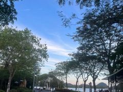 -长洲岛