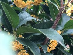 -西南交通大学(峨眉校区)