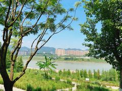 -金海湾滨江公园