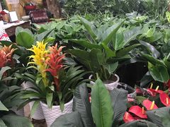 -秦美花卉(天朗·莱茵小城2期店)