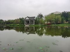 -映月湖公园