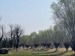 -汉长安城未央宫国家考古遗址公园