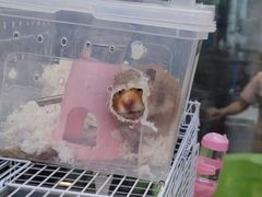 -萌兽医馆·眼科·异宠专科(三里屯店)