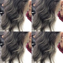 -SALON V