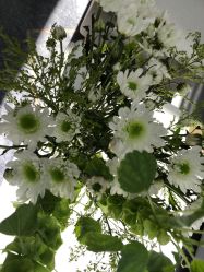 -HEYAN荷妍专业脱毛连锁机构