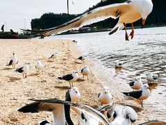 -大连老虎滩海洋公园