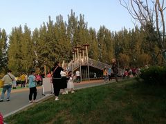 -汉长安城未央宫国家考古遗址公园