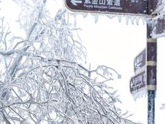 -紫金山山顶公园