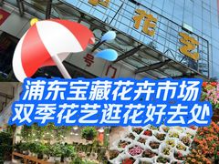 -双季花艺园艺市场(浦东店)